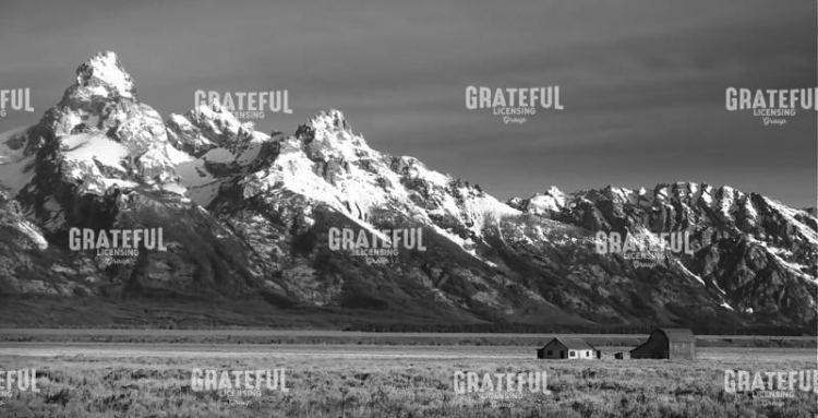 At the Feet of Majesty