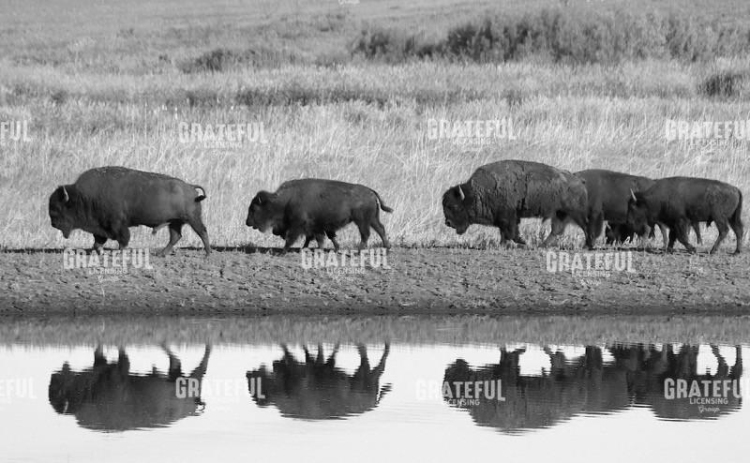 Reflection of the Past