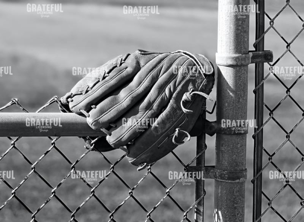 Glove