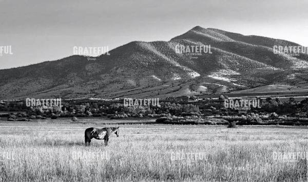 Foothills