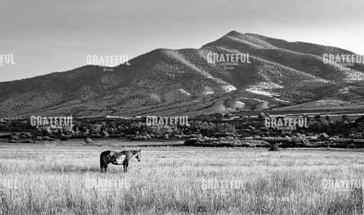 Foothills
