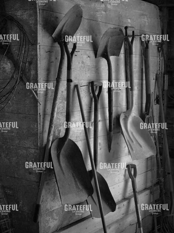 Shovels BW2