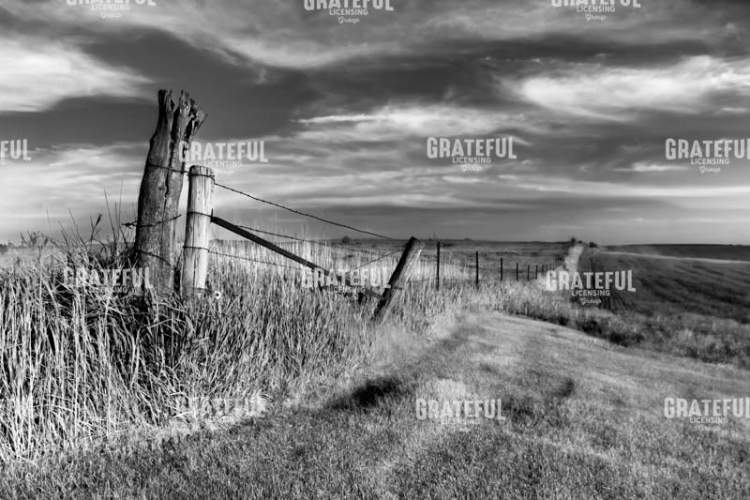 Fenceline