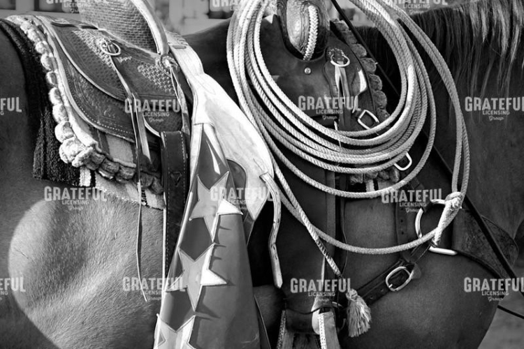 Ready to Rope B&W