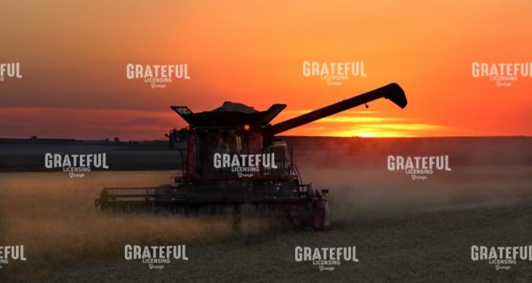 Harvest