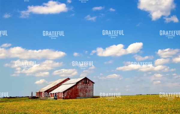 Midwest Barn