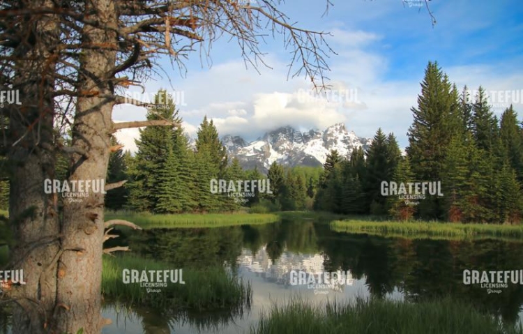 Mountain Pond