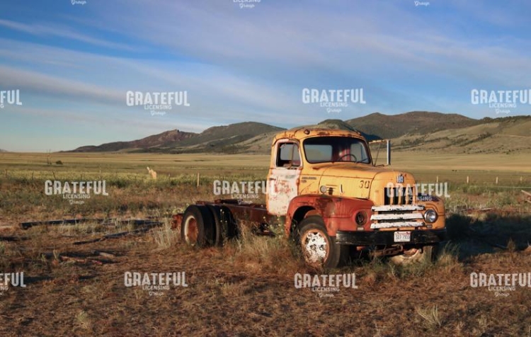 Out to Pasture 2