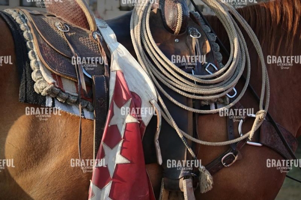 Ready to Rope 2