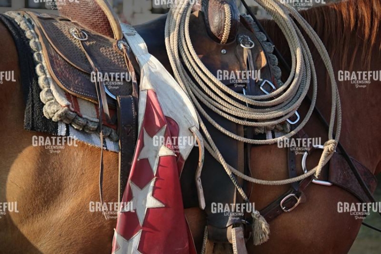 Ready to Rope 2
