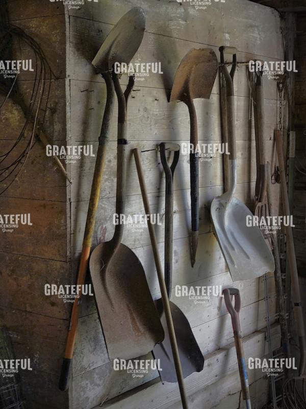 Shovels 2