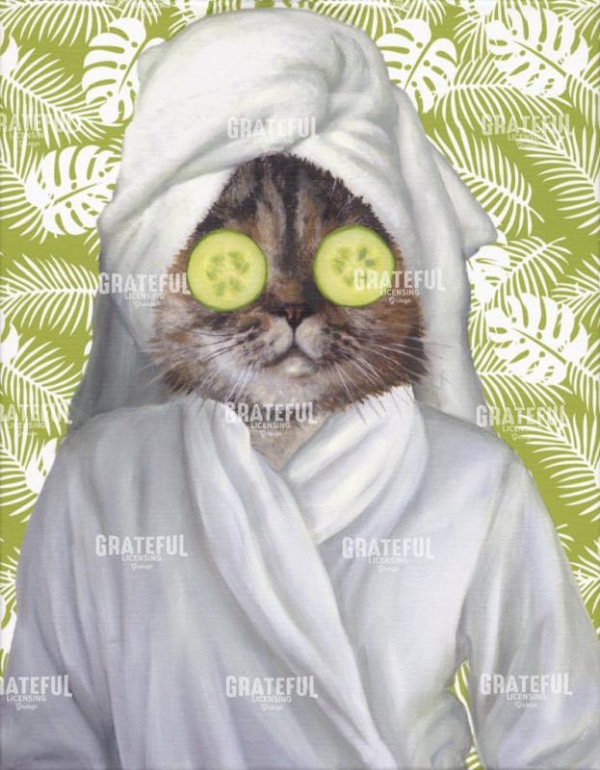 Spa Kitty