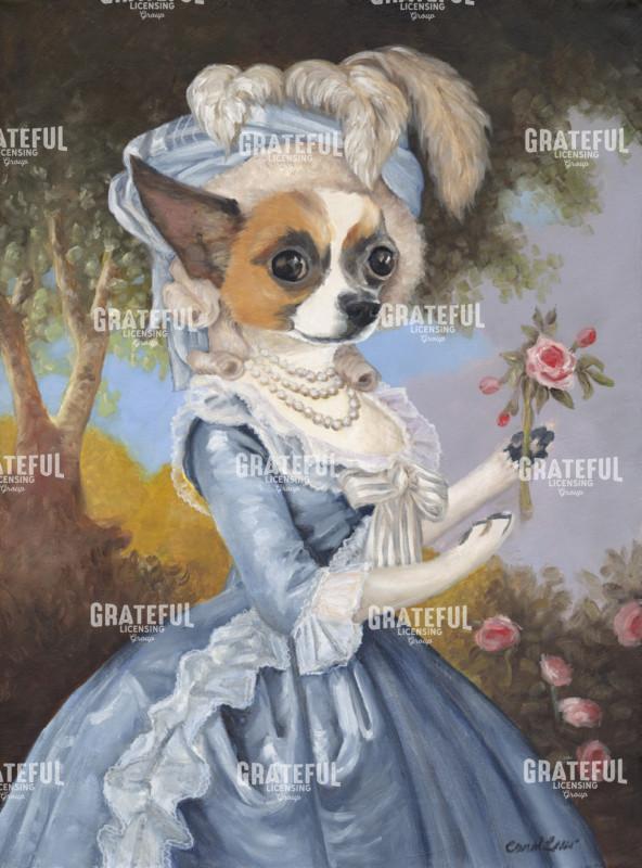 Rita Chihuahua