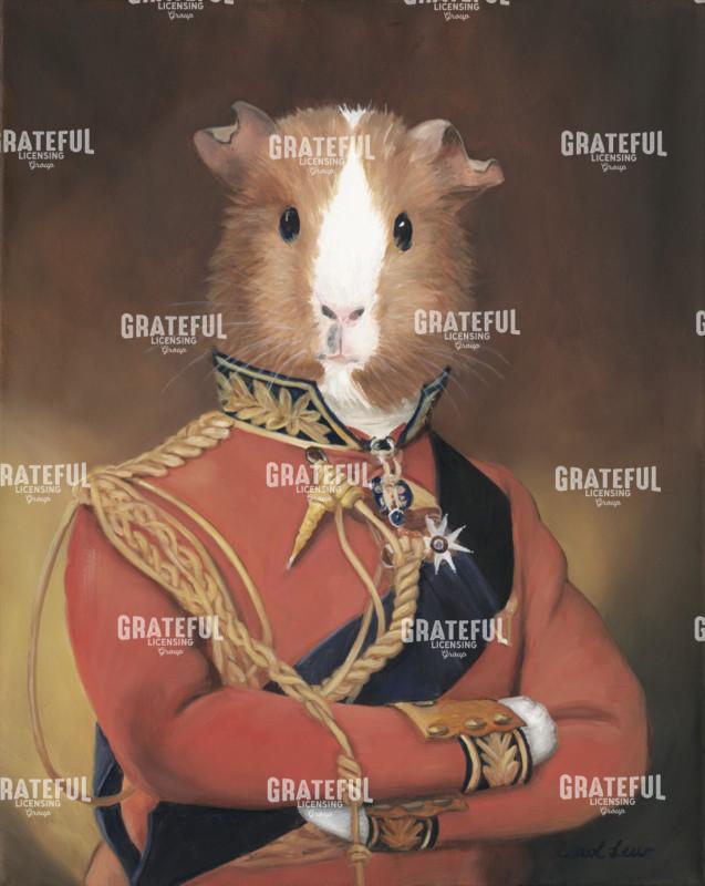 Wellesley Guinea Pig