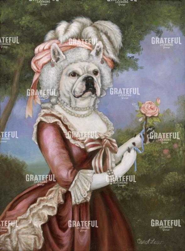 Frenchie Antoinette