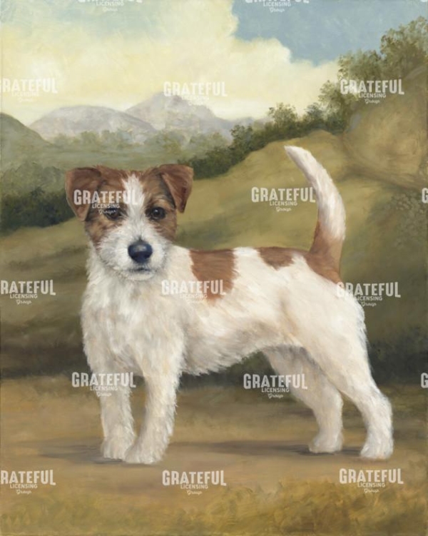 Jack Russell
