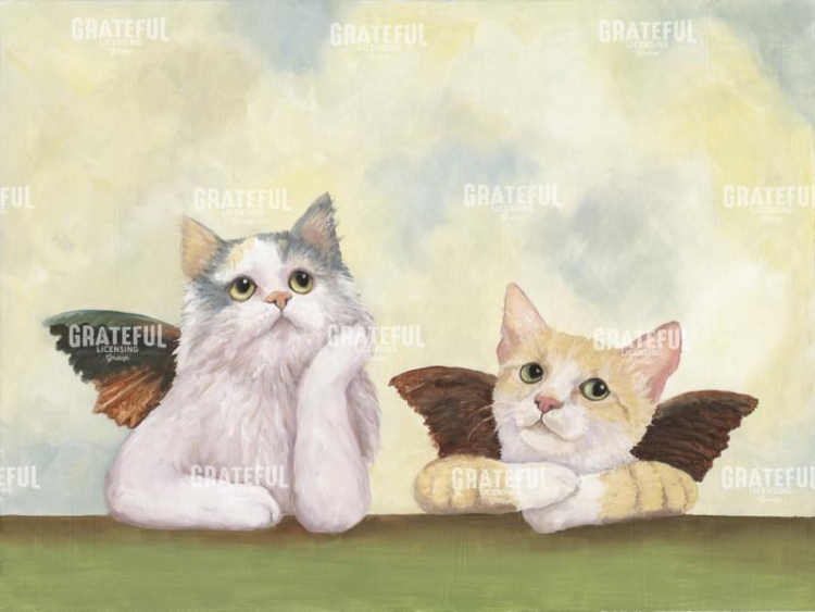 Putti Kittens