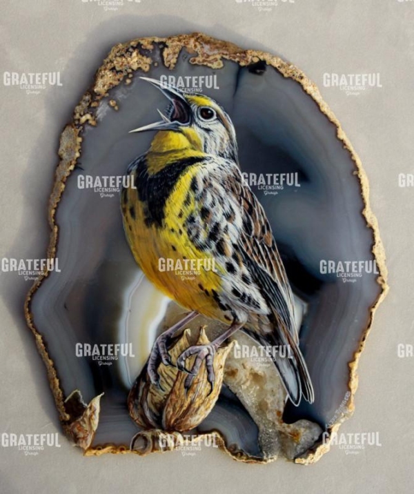 Singing Meadowlark