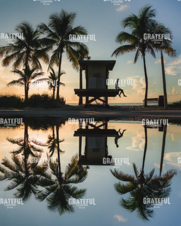 Palm Tree Reflection