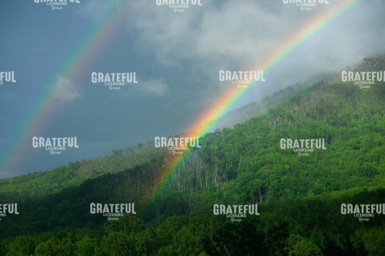 Smoky Mountain Rainbows