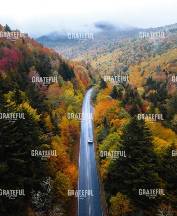 October Road
