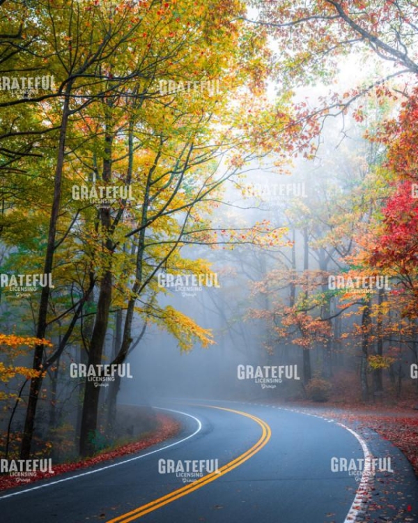 Scenic Fall Drive