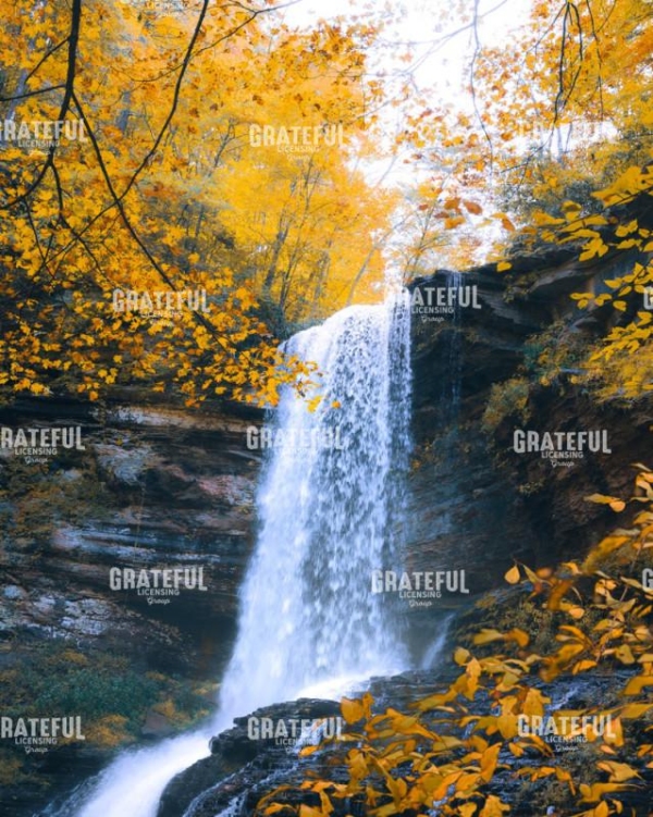 Autumn Escape