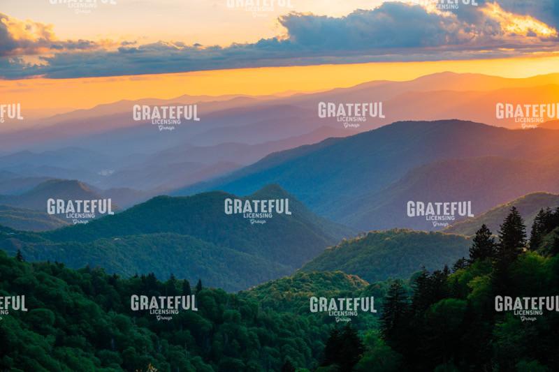 Golden Light in the Mountains
