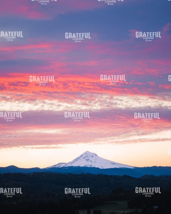 Mt Hood