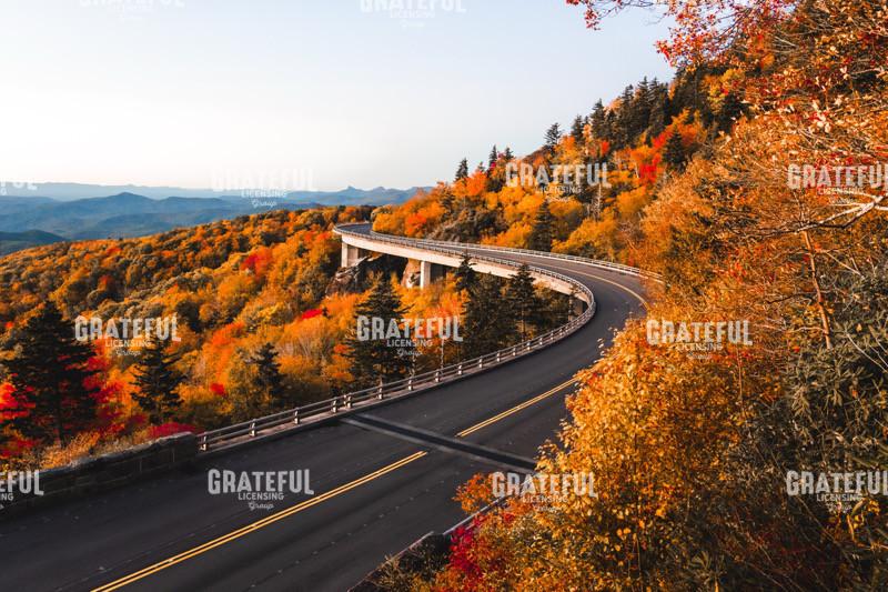 Winding Through the Orange