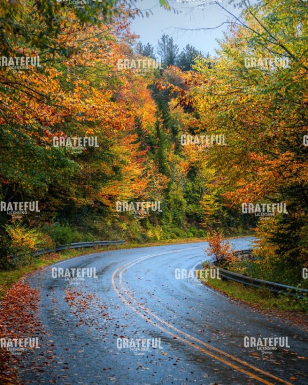 A Touch of Fall
