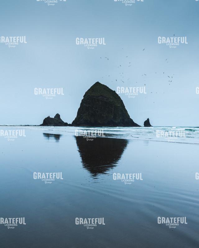 Canon Beach Reflections