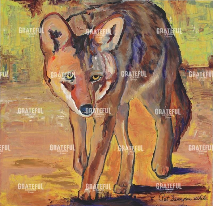 Coyote Hunting