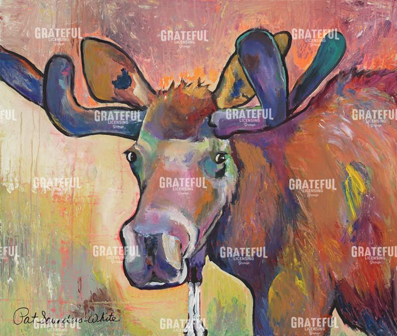 Early Morning Browser