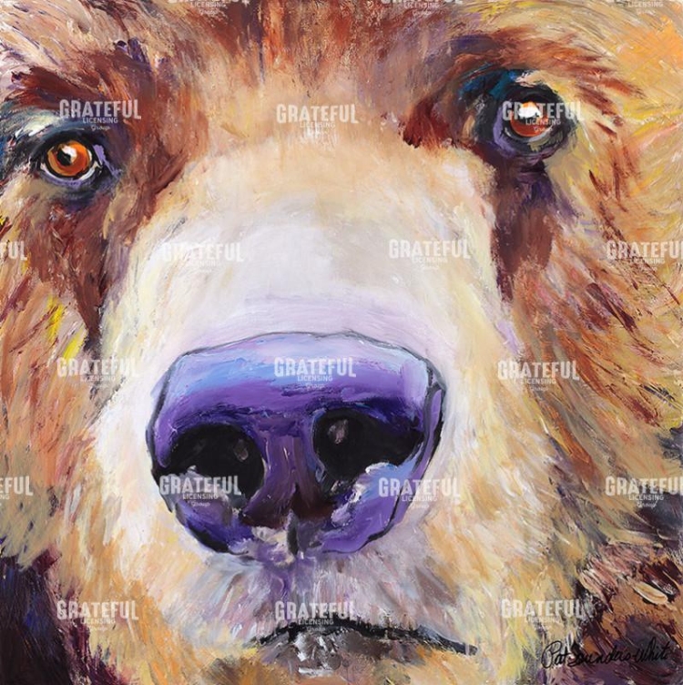 Bear Close Up
