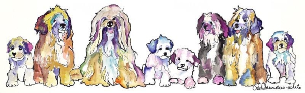The Gang