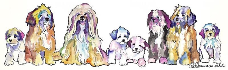 The Gang