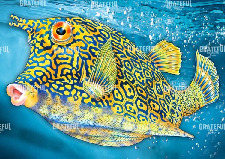 Cowfish