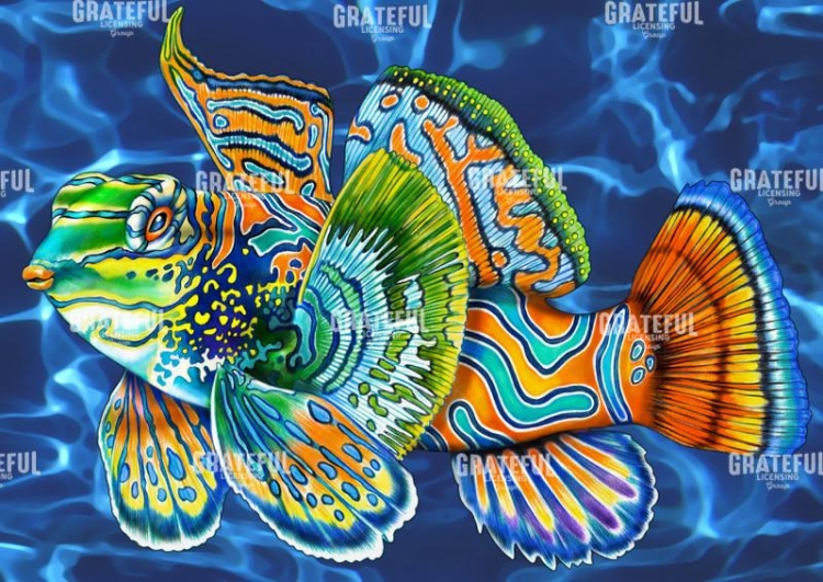 Mandarinfish