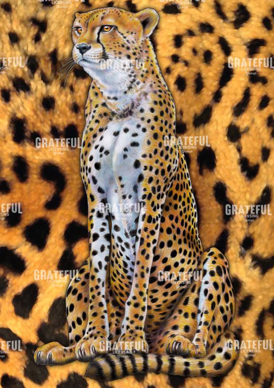 Cheetah