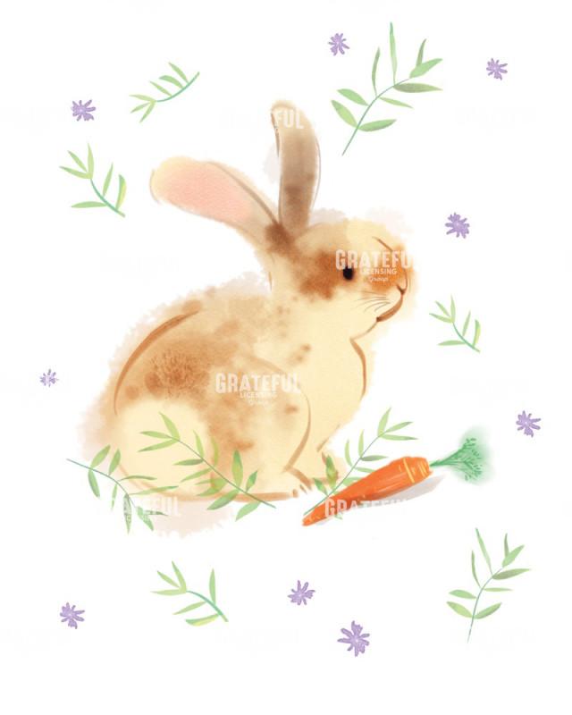 Cottontail