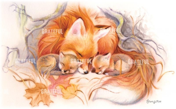 Fox Den Snug