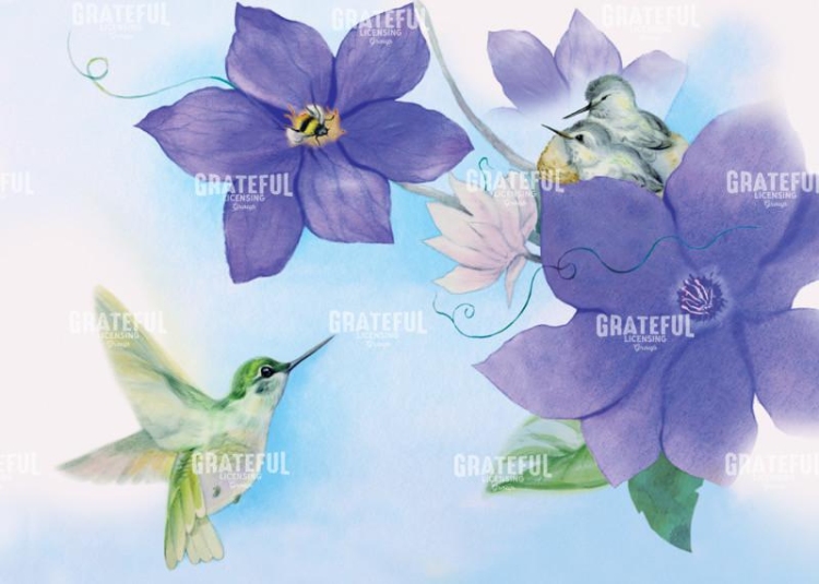 Hummingbird 1