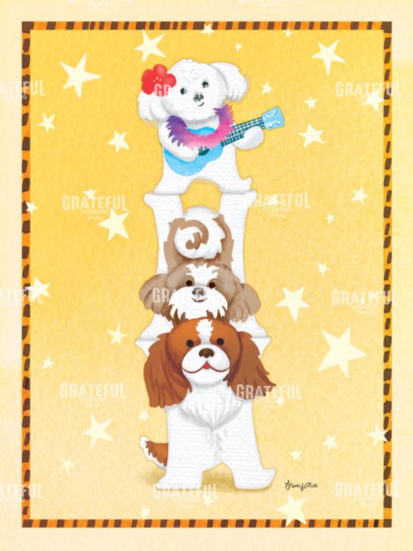 Rumba Little Dogs