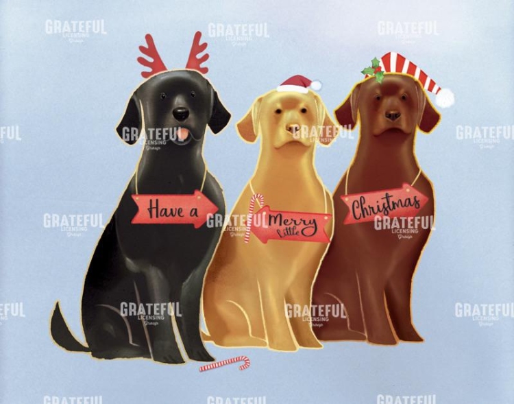 Three Merry Labs