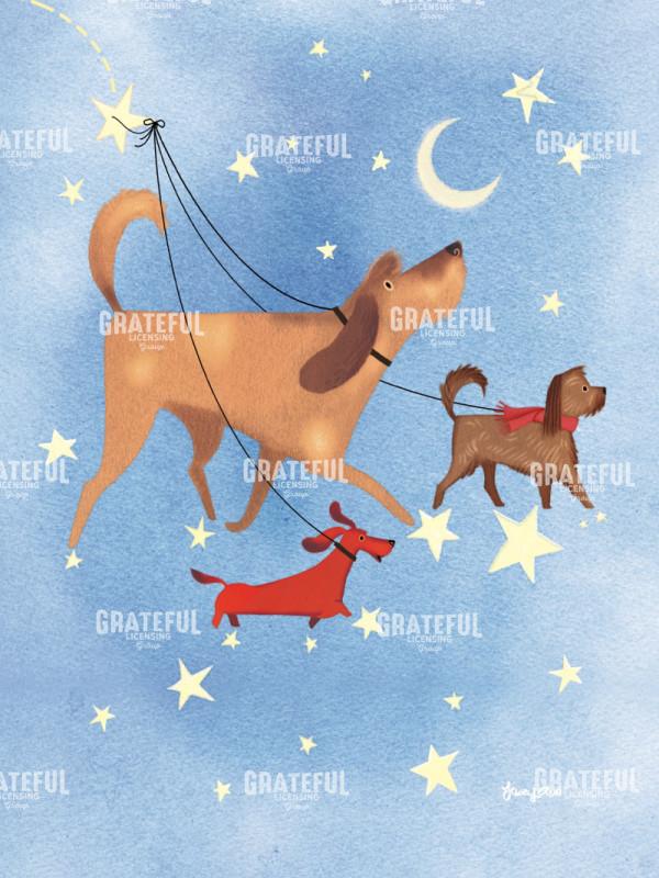 Dogs Walk Stars