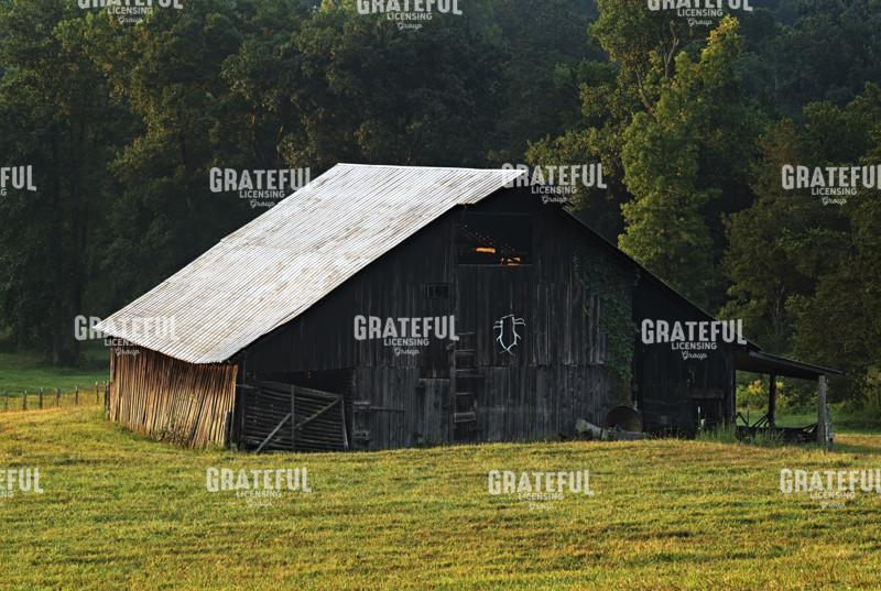 Morning Light on the Old Barn