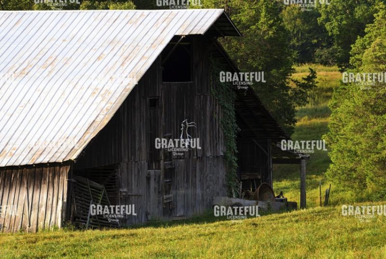 Trophy on the Barn