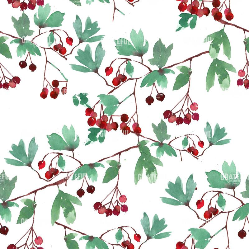 Hawthorn