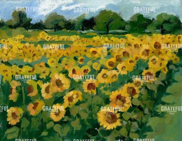 Sunflower Field